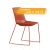 Ergonice Douro sledeframe
